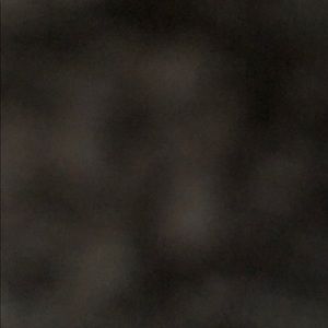 Meet your Posher, Selina